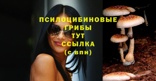 прущая мука Гусиноозёрск
