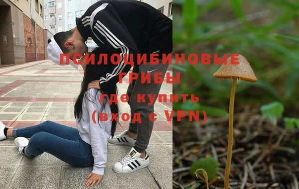 соль ск Балахна