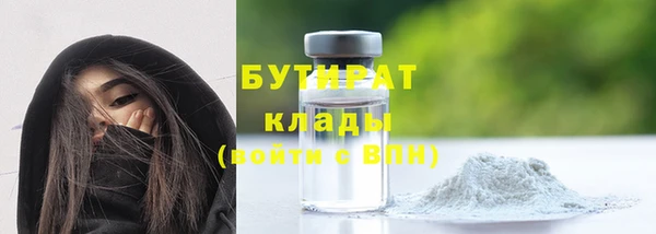 мдпв Гусь-Хрустальный