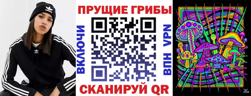Галлюциногенные грибы Psilocybe  МЕГА ссылки  Семилуки 